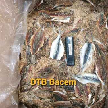 ikan asin dendeng Tembang Manis 1 Kg Fresh.