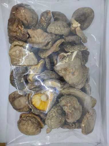 100gr Jamur Hioko - Shitake - Kering - Uuran Besar Ukuran 5-6 cm