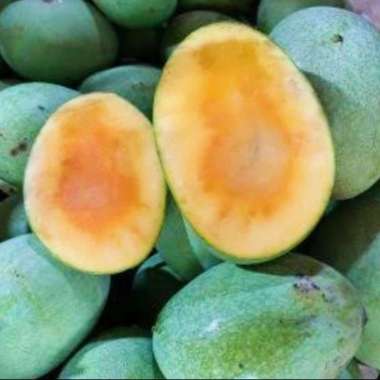 Mangga Manalagi Buah Segar Ibaza fruitsBOX - 1 kg Buah Mangga Manalagi