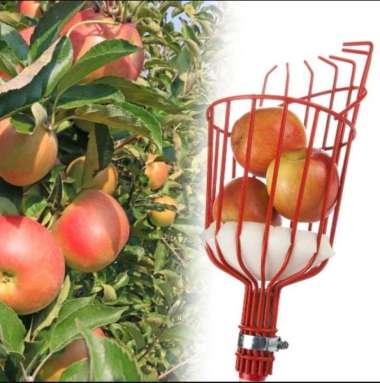 alat pemetik galah buah metal fruit picker bantu petik pengambil buah Multicolor