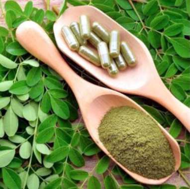 MASKER DAUN KELOR KAPSUL