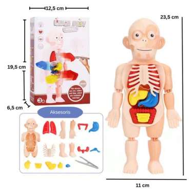 mainan edukasi anak perempuan laki laki 5 6 7 8 tahun dokter dokteran Multicolor