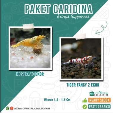 UDANG HIAS PAKET AQUASCAPE MOSURA DAN TIGER FANCY ISI 12 EKOR PREMIUM Multicolor
