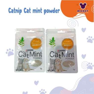Catnip Cat mint powder
