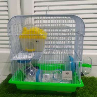 kandang hamster besar murah + sepasang campbell Varian Based Information