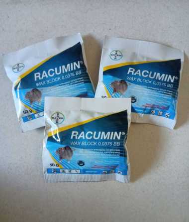 Racun Tikus Ampuh [Jaminan Mati Kering] – Racumin, Racun Tikus Agenda (ENVU)