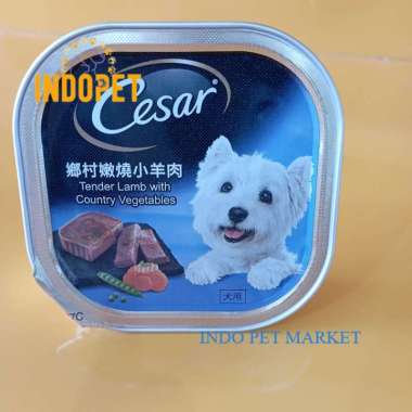 DOG FOOD CESAR WET FOOD T. LAMB W C. VEGE