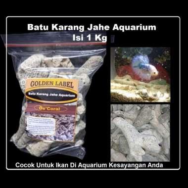 Batu Karang Jahe Aquarium|Batu Karang Jahe Akuarium|Batu Akuarium|Ikan