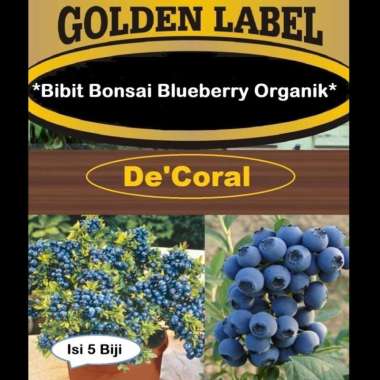 Bibit Bonsai Blueberry Organik | Benih Bonsai Blueberry Organik