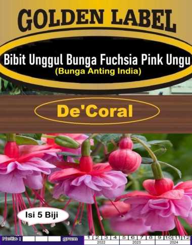 Bibit Bunga Fuchsia Pink Ungu|Benih Bunga Anting India|Bunga Anting