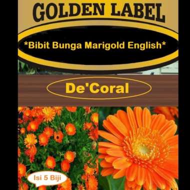 Bibit Bunga Marigold English | Benih Bunga Marigold English