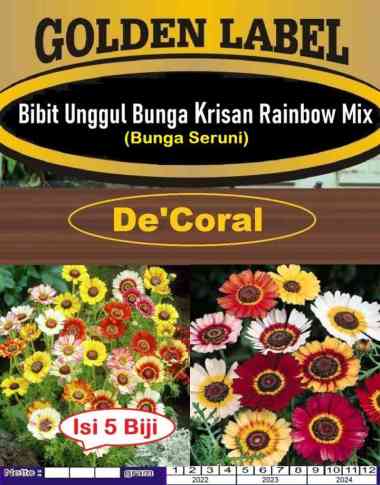 Bibit Bunga Krisan Rainbow Mix|Benih Bunga Krisan Mix|Bunga Seruni Mix