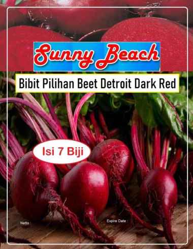 Bibit Pilihan Beet Detroit Dark Red| Benih Bit Detroit Dark Red|Biet