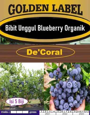 Bibit Unggul Blueberry Organik|Benih Blueberry Organik|Bibit Blueberry
