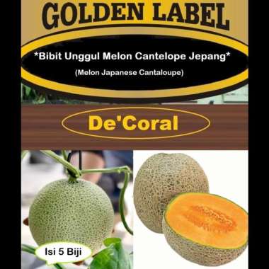 Bibit Unggul Melon Cantelope Jepang | Benih Melon Japanese Cantaloupe