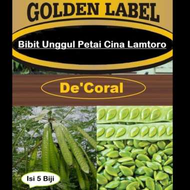 Bibit Unggul Petai Cina Lamtoro | Benih Pete Cina Lamtoro