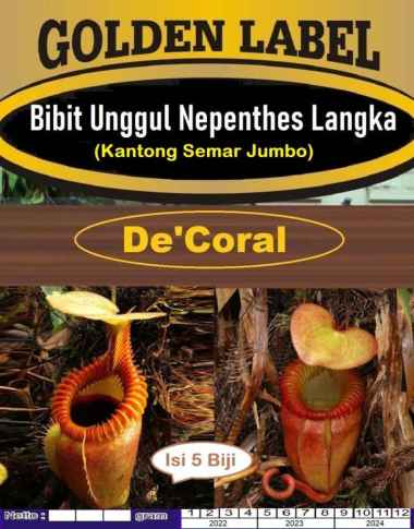 Bibit Unggul Nepenthes Tanaman Kantong Semar Jumbo | Benih Nepenthes