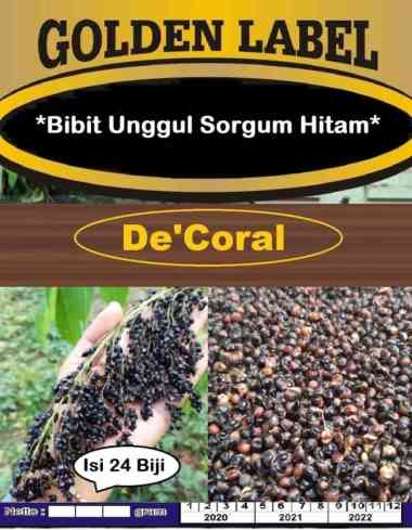 Bibit Unggul Sorgum Hitam | Benih Sorgum Hitam