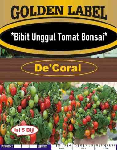 Bibit Unggul Tomat Bonsai |Benih Tomat Bonsai|Tomat Kerdil