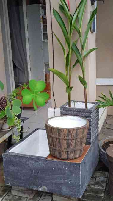 Full Set C Kolam Air Taman Minimalis|Kolam Ikan|Pot Tanaman