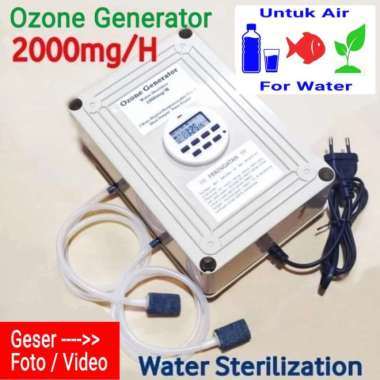 LSB Ozone Generator 220v 2000mg Water Ozonizer Germicidal Sterilizer
