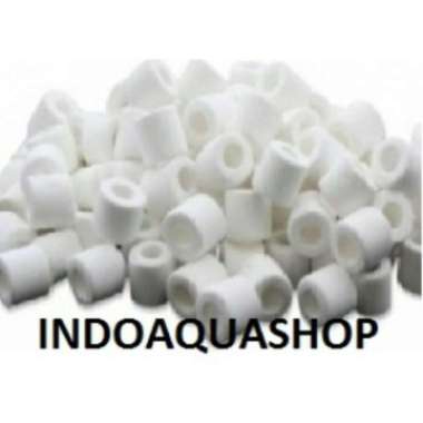 Media Filter Ceramic Ring