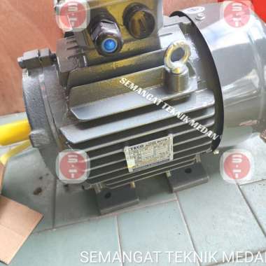 DINAMO ELEKTROMOTOR LISTRIK 5.5HP 5,5HP PUTARAN LAMBAT 3 PHASE TECO