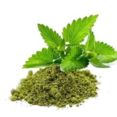 Basil Leave Powder 250 Gram ( Daun Basil Bubuk ) 100% Murni