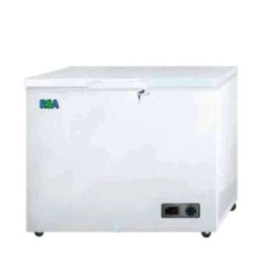 Freezer RSA 200 L CF210