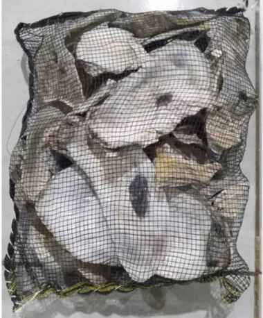 kerang oyster media filter kolam ikan koi filter kimiawi pH air termurah abu abu