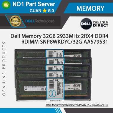Dell Memory 32GB 2933MHz 2RX4 DDR4 RDIMM SNP8WKDYC/32G AA579531 Multivariasi Multicolor
