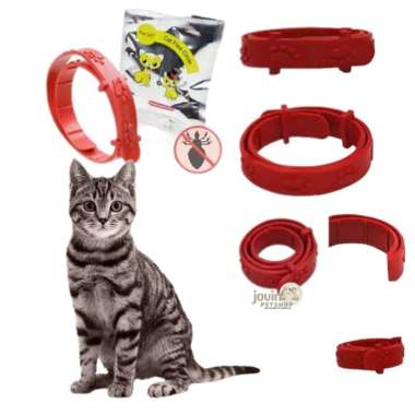 Collar Protection - Kalung anti kutu kucing