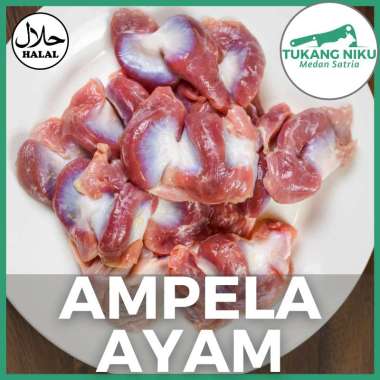 AMPELA AYAM BERSIH - HALAL DAGING SEGAR FROZEN FRESH BEKU POTONG CHICKEN ATI HATI JANTUNG REMPELA JE
