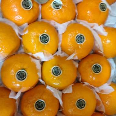 Buah Jeruk Wokam dus