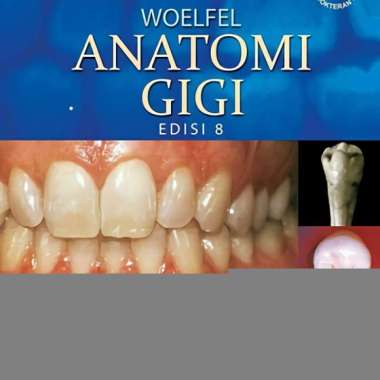 Original Anatomi Gigi Edisi 8 - Woelfel