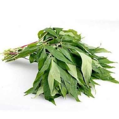 Sayur Daun Singkong 1 ikat fresh segar 3 ikat