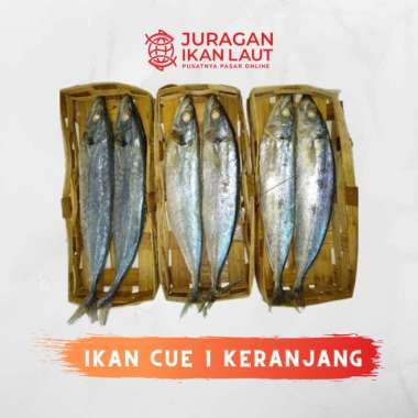 Ikan Cue Keranjang Berkualitas - Isi 2