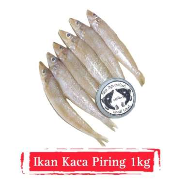 Ikan kaca piring / ikan rejung / FREE SUDAH DIBERSIHKAN