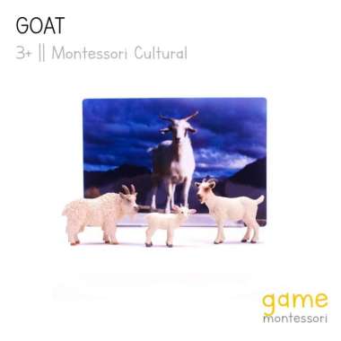 montessori cultural farm animal goat