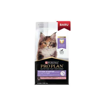 Makanan Anak Kucing Anggora Persia Bagus Proplan Kitten 1.5kg Multivariasi