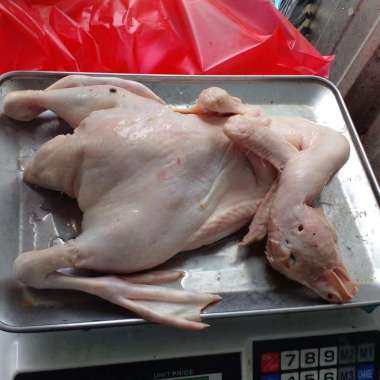 Bebek Peking frozen 1,4kg berat bersih/tanpa jeroan/bebek peking murah/bebek potong