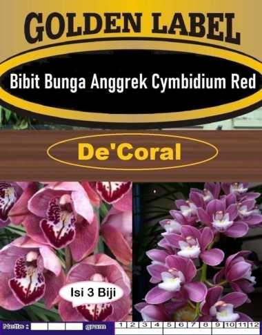 Bibit Bunga Anggrek Cymbidium Red | Biji Benih Anggrek Cymbidium Merah