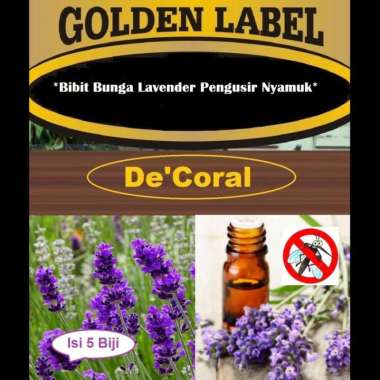 Bibit Bunga Lavender Pengusir Nyamuk | Benih Bunga Lavender