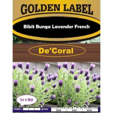 Bibit Bunga Lavender French | Benih Bunga Lavender French