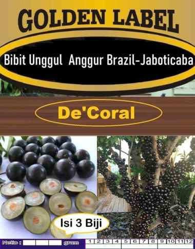 Bibit Unggul Anggur Brazil -Jaboticaba | Biji Benih Anggur Brazil