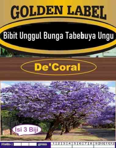Bibit Unggul Bunga Tabebuya Ungu | Benih Sakura Ungu | Bibit Tabebuya