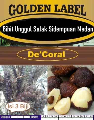 Bibit Unggul Salak Sidempuan Medan|Biji Bibit Salak Medan|Benih Salak
