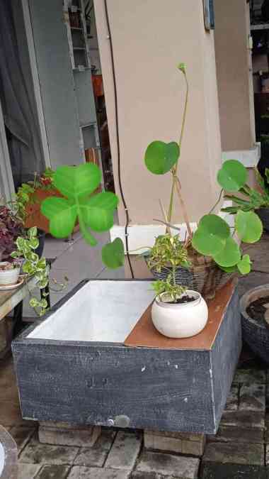 Full Set D Kolam Air Taman Minimalis|Kolam Ikan|Pot Tanaman