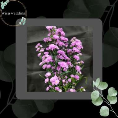 BUNGA PIKOK PINK