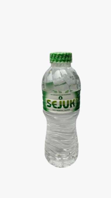 DUTA BUAH AIR SEJUK 330ML/ PCS